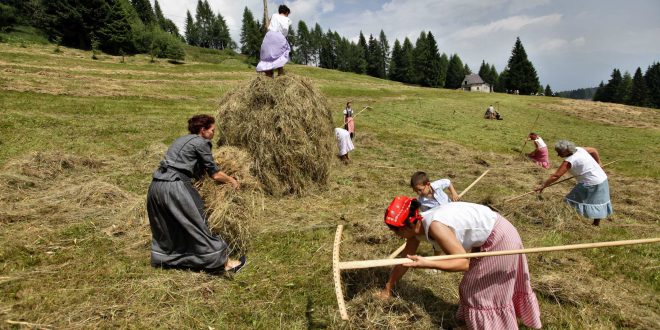 Domenica 29 luglio nei prati dello Zoncolan in Carnia  A Sutrio si ritorna al passato con “Fasjn la mede”