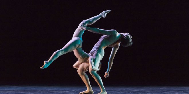 Odyssey Ballet: la rilettura di Omero nella danza fisica di Sungani