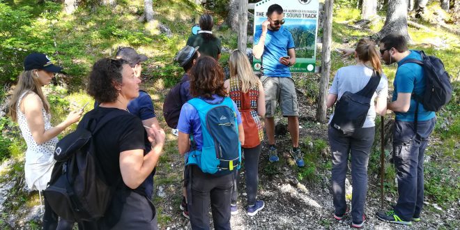 Inaugurato il Forest Sound Track: la magia della Val Saisera diventa “Museo a cielo aperto”
