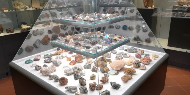Pordenone : Laboratori e visite tematiche nelle Domeniche al Museo di Storia Naturale
