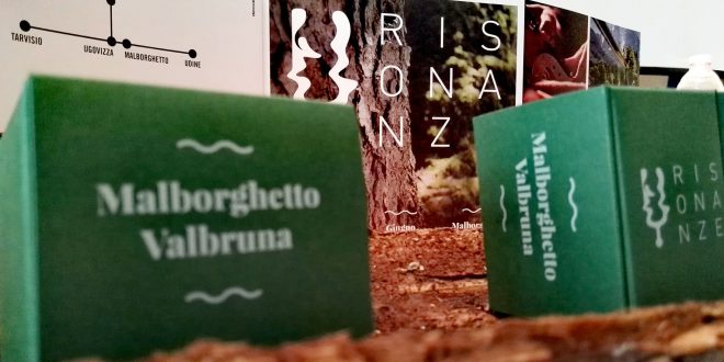 Presentata la nuova edizione di Risonanze che celebra la foresta deiviolini della Val Saisera