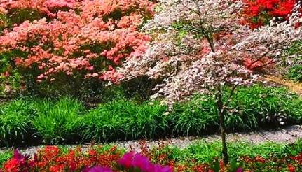 GIARDINO VIATORI GORIZIA: APERTURA PASQUALE DELLA SPLENDIDA AREAVERDE DI PROPRIETA’ DELLA FONDAZIONE CARIGO