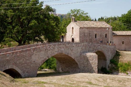 24 agosto Assisi Suono Sacro presenta Creatura, concerto per animali