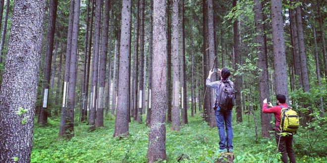 Altrememorie: evento speciale al parco dell’arte della Val Saisera