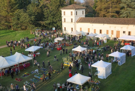 Nel Giardino del Doge Manin A Villa Manin di Passariano il 15 e il 16 settembre  ritorna il meglio del florovivaismo