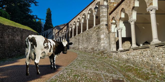 Pink Floyd in Castello a Udine – aperte le prevendite per il concerto del 2 agosto “Atom Heart Mother”