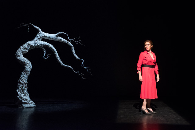 “Einstein & Me” in scena al Politeama Rossetti lunedì 25 febbraio – di e con Gabriella Greison
