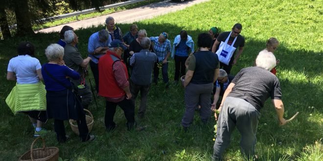 A Piano d’Arta, dal 25 al 27 maggio, un corso organizzato dal Gruppo produttori del presidio Slow Food “Radic di mont”