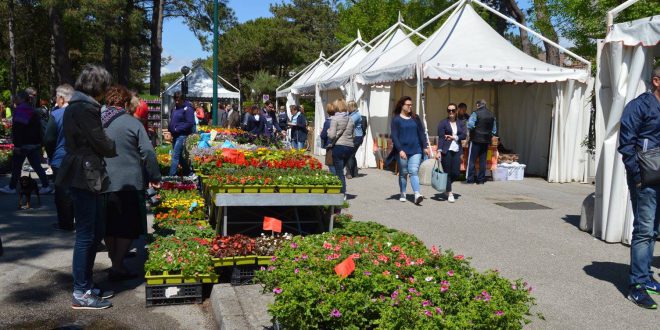 LIGNANO IN FIORE – In migliaia per la 31° edizione, decine gli eventi in programma fino al 1° maggio