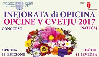 Infiorata di Opicina, si parlerà di Biodiversità venerdì 16 giu. 20.30 sala convegni della Banca di Credito Cooperativo del Carso a Opicina