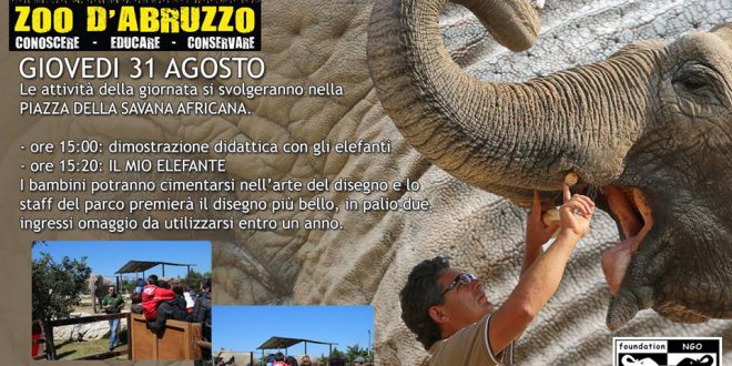 Allo Zoo d’Abruzzo, per un’esperienza unica il 31 ago.SOS Elephants