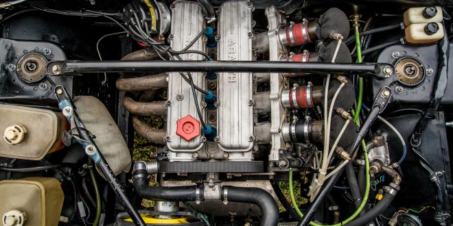 Ridimensiona diDSC_9566