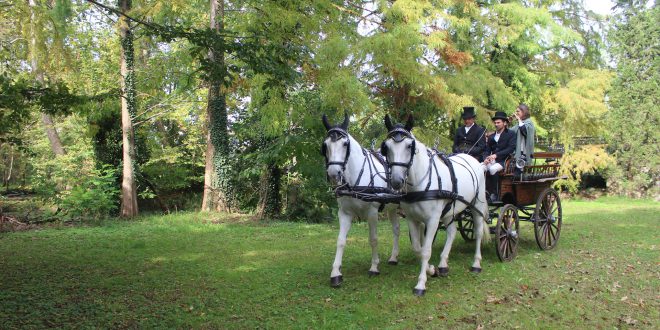 19 maggio 2019 – Tour in carrozza alla scoperta delle Dimore Storichedel Friuli Venezia Giulia