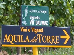 Savorgnano del Torre SAbato 13 maggio LA VIGNA NEL CESTINO: vino e cibo gourmet sull’erba