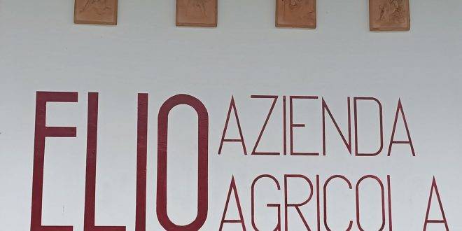 Azienda agricola ELIO: l’esperienza di Franco Venica e l’appassionante cultura di Alberto Tomasin