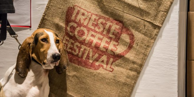 1° Ottobre – INTERNATIONAL COFFEE DAY: Trieste annuncia la 5° edizione del TRIESTE COFFEE FESTIVAL (21 -28 ottobre 2018) d