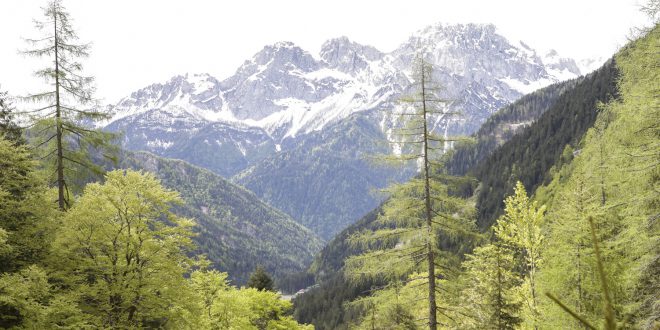 Goccia di Carnia è l’acqua ufficiale di Cortina 2021   L’azienda friulana è Regional Supporter dei Mondiali di Sci Alpino