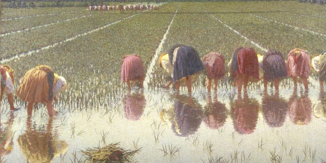 Novara, Galleria d’Arte Moderna Paolo e Adele Giannoni | VITA IN RISAIA. LAVORO E SOCIALITÀ NELLA PITTURA DI ANGELO MORBELLI | 13-25 aprile 2018